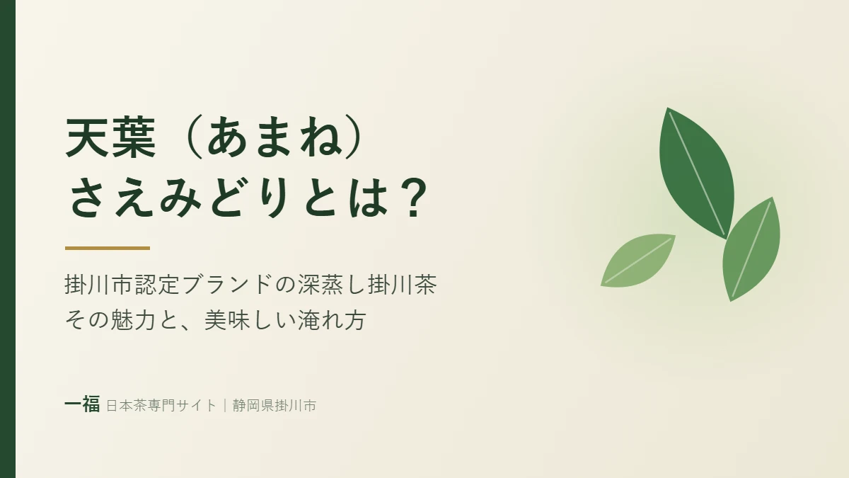 「天葉（あまね）さえみどりとは？ 掛川市認定ブランドの深蒸し掛川茶」と書かれたアイキャッチ画像。茶葉のイラスト入り