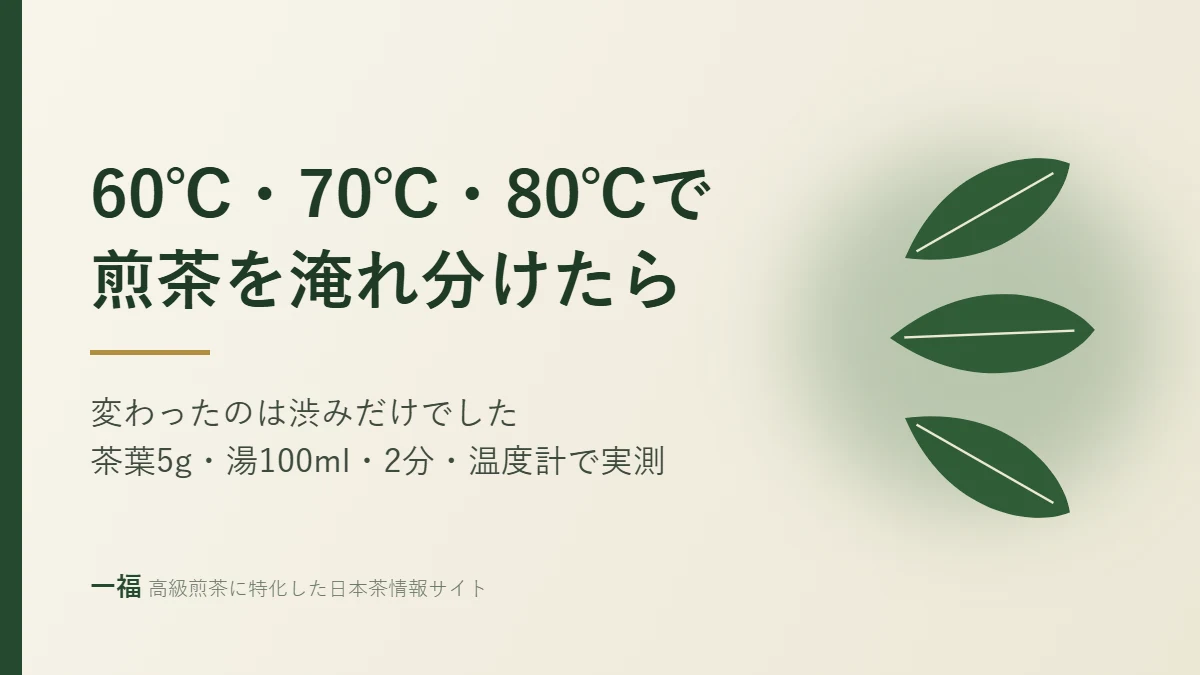 煎茶を60℃・70℃・80℃で淹れ分けたら｜変わったのは渋みだけでした