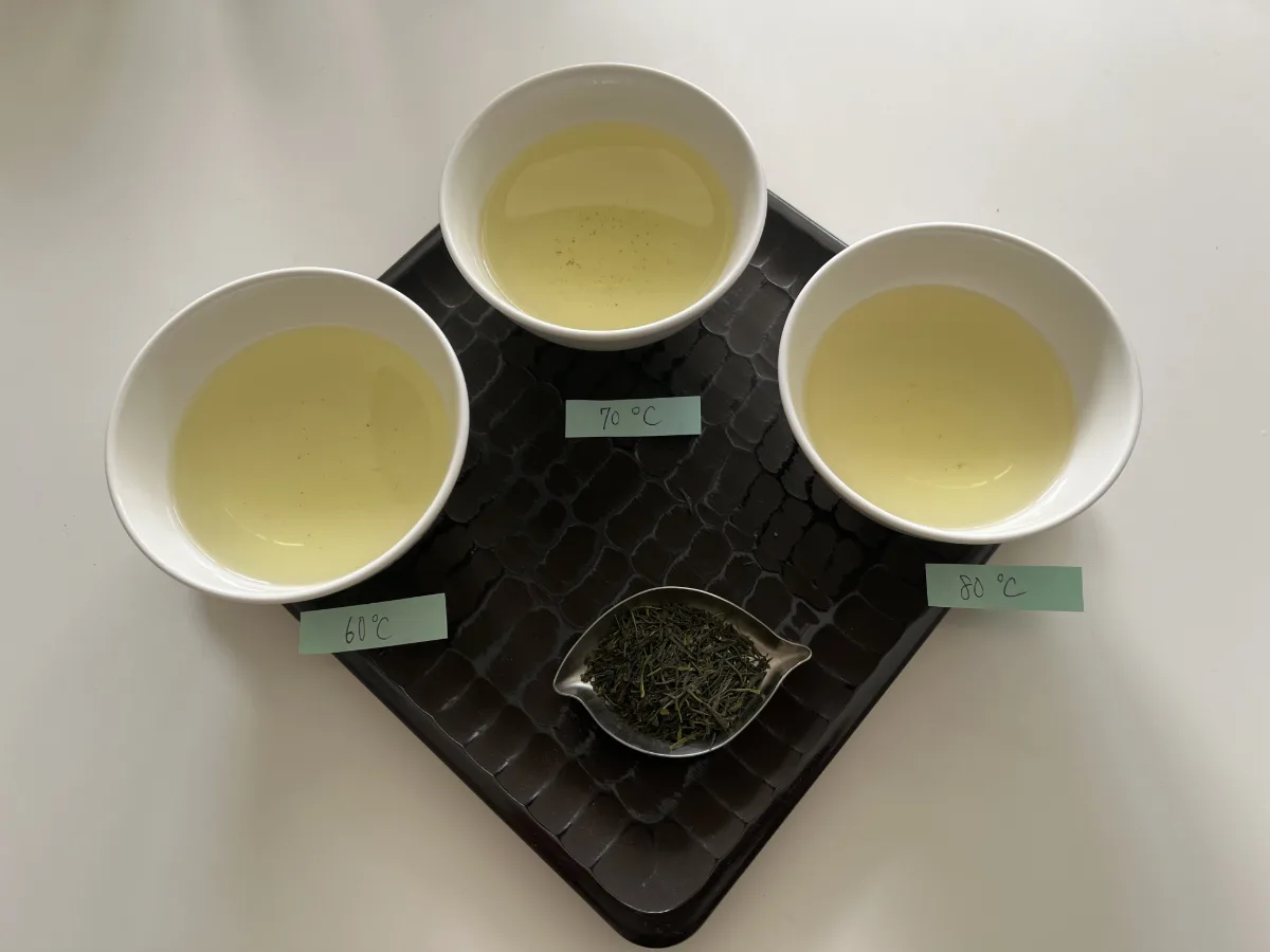 土佐の緑茶を60℃・70℃・80℃で淹れた3杯の湯呑と、使った茶葉を真上から撮った写真。水色の差はごくわずか